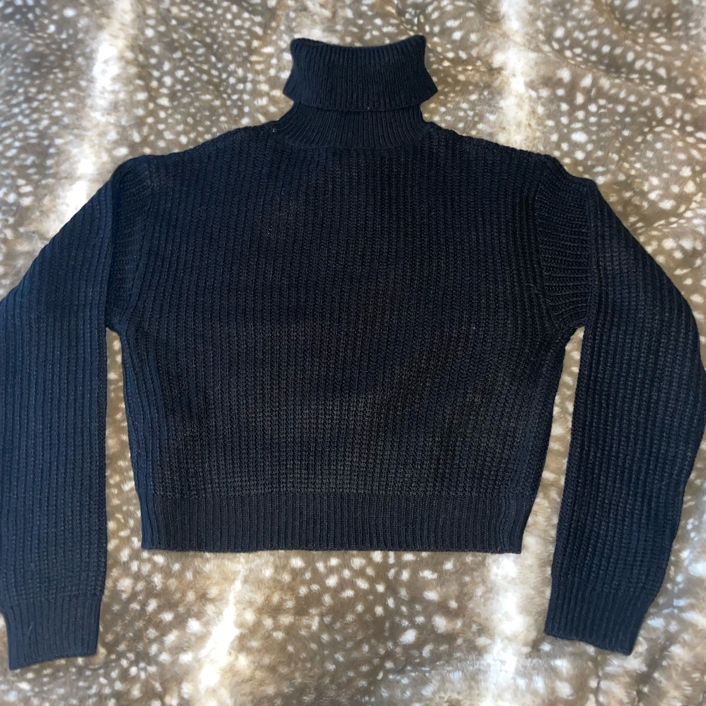 NWT✨Nasty Gal Cropped Knit Turtleneck